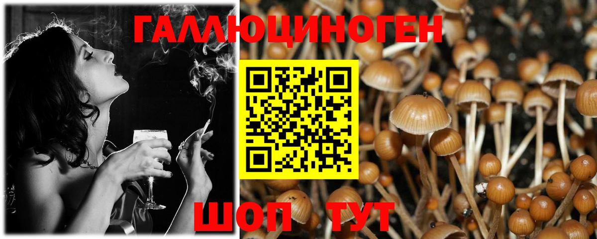 Псилоцибиновые грибы мицелий  Вход с VPN  Псилоцибиновые грибы GOLDEN TEACHER  Кызыл 