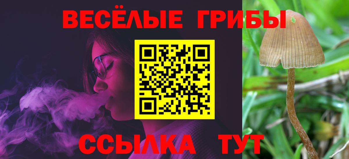 Галлюциногенные грибы Magic Shrooms Кызыл